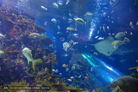 北京动物园 海底世界